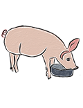 Pig icon