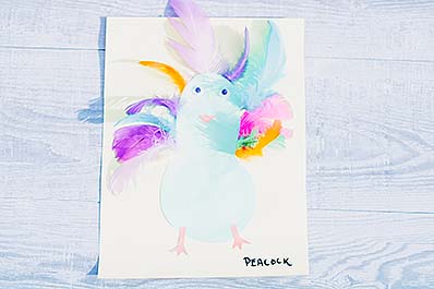 Feather collage peacock